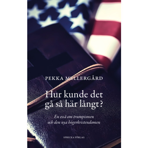Pekka Mellergård Hur kunde det gå så här långt? : en essä om trumpismen och den nya högerkristendomen (häftad)