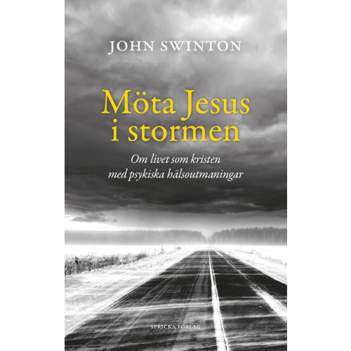 John Swinton Möta Jesus i stormen : om livet som kristen med psykiska hälsoutmaningar (häftad)