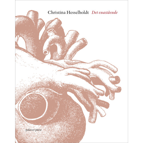 Christina Hesselholdt Det enastående (bok, danskt band)