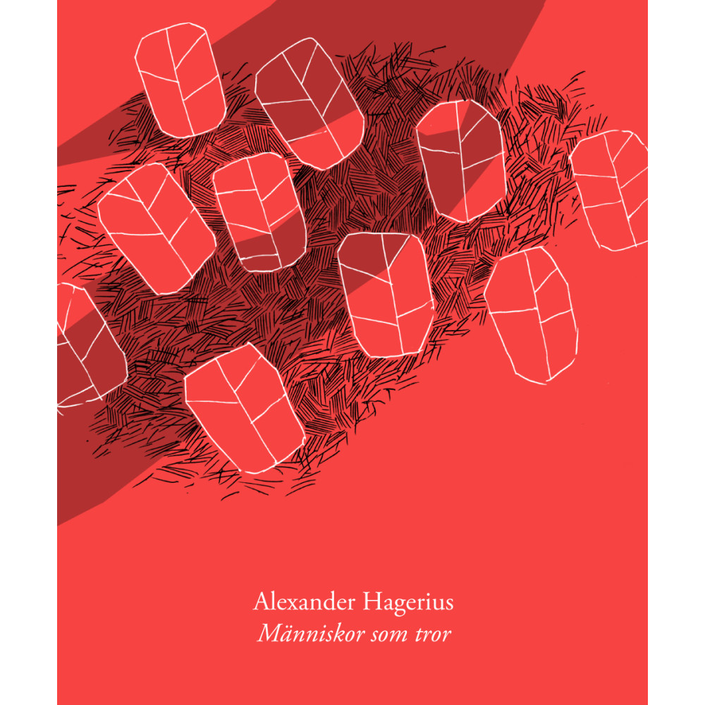 Produktbild för Människor som tror (bok, kartonnage)
