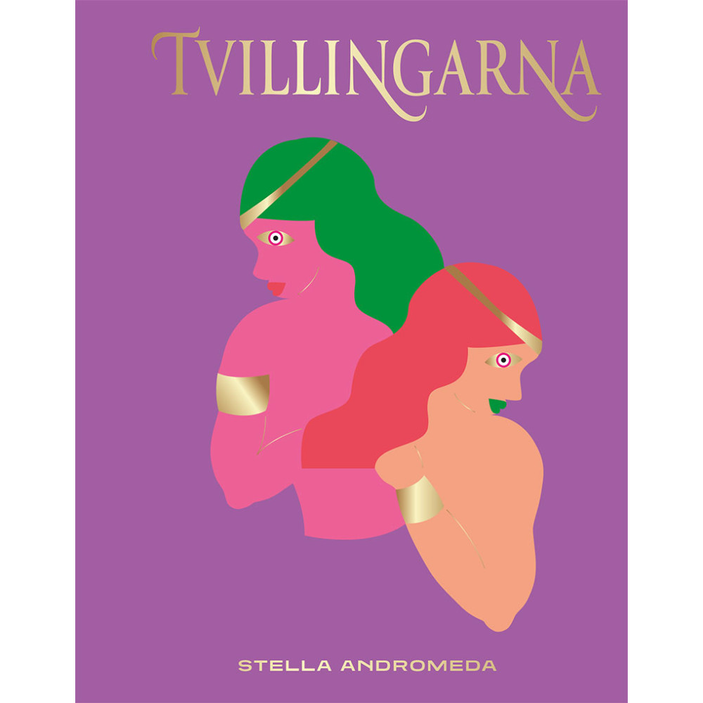 Produktbild för Tvillingarna (inbunden)