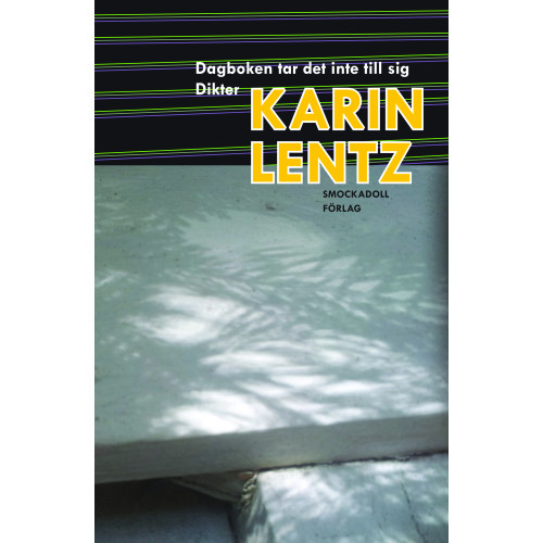 Karin Lentz Dagboken tar det inte till sig (häftad)