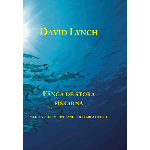 David Lynch Fånga de stora fiskarna (bok, kartonnage)