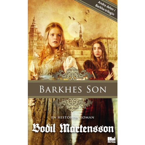 Bodil Mårtensson Barkhes son : en historisk spänningsroman (pocket)