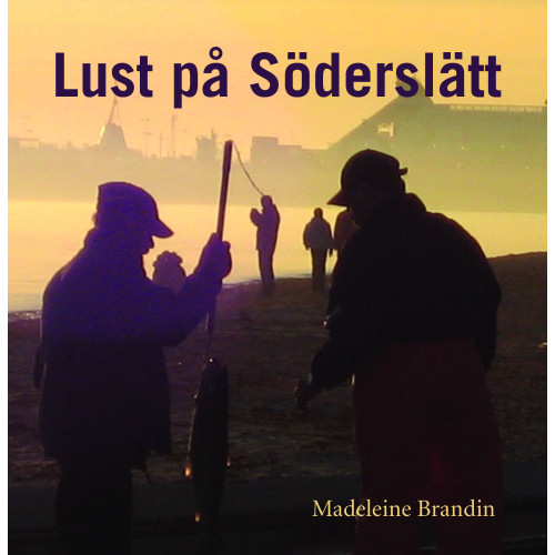 Madeleine Brandin Lust på Söderslätt (bok, danskt band)