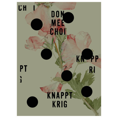 Don Mee Choi Knappt krig (bok)