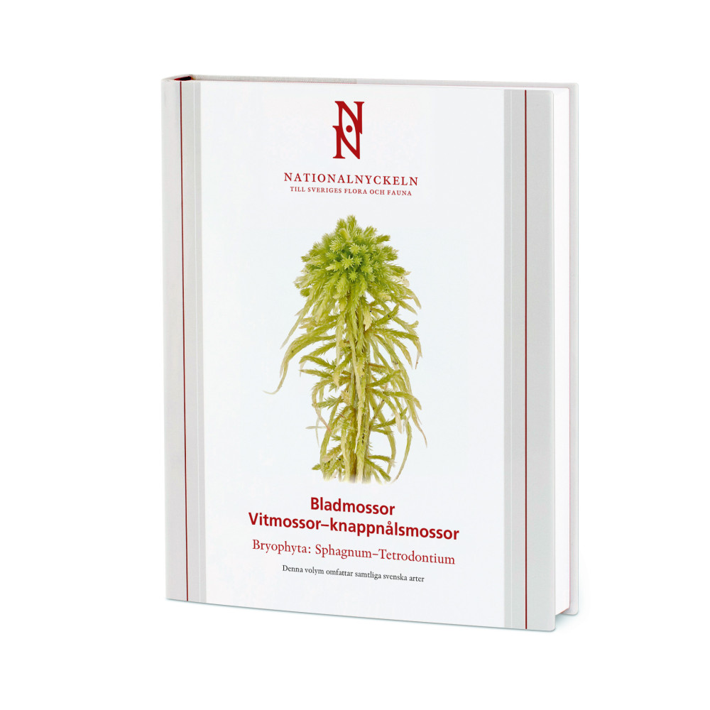 Produktbild för Bladmossor: Vitmossor – knappnålsmossor: Bryophyta: Sphagnum–Tetrodontium (inbunden)