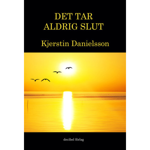 Kjerstin Danielsson Det tar aldrig slut (häftad)