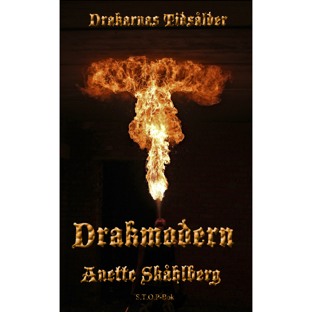 Produktbild för Drakmodern (häftad)