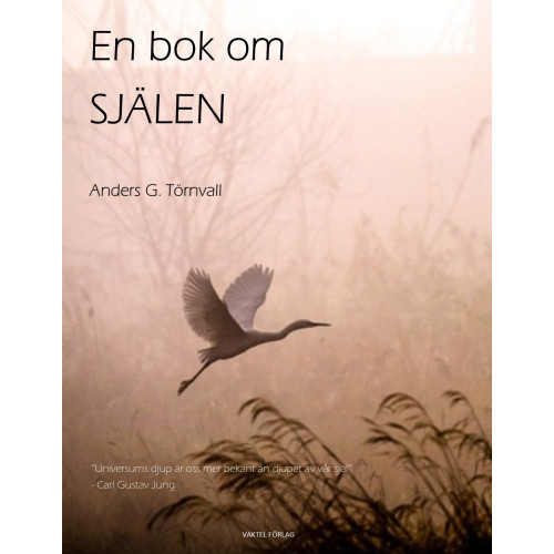 Anders G. Törnvall En bok om själen (häftad)