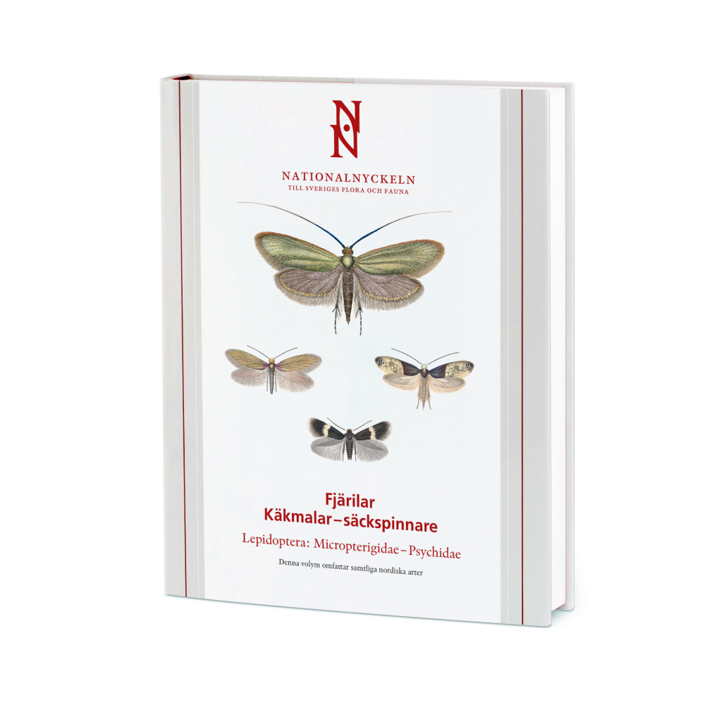 Produktbild för Fjärilar : käkmalar - säckspinnare. Lepidoptera : micropterigidae - sychidae (inbunden)