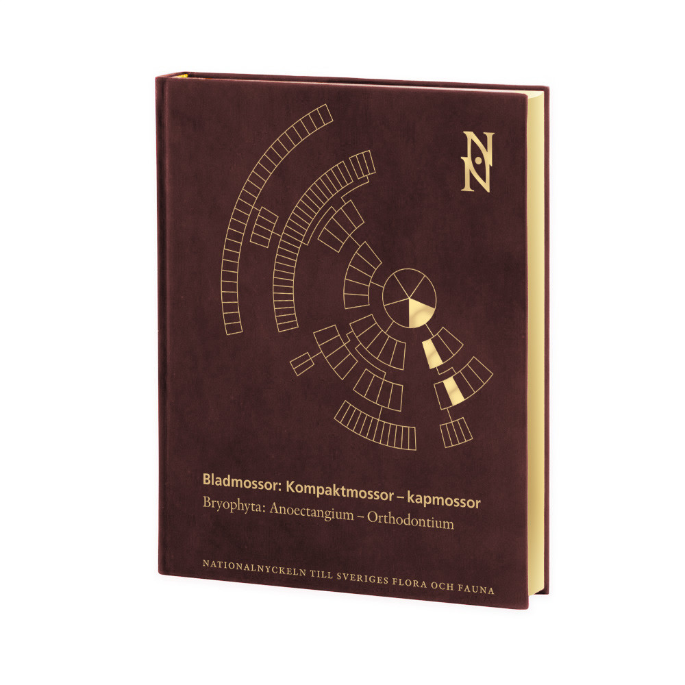 Produktbild för Bladmossor : kompaktmossor - kapmossor. Bryophyta : anoectangium - orthodontium (bok, halvfranskt)
