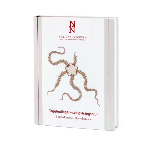 Hans G. Hansson Tagghudingar - svalgsträngsdjur. Echinodermata - hemichordata (inbunden)