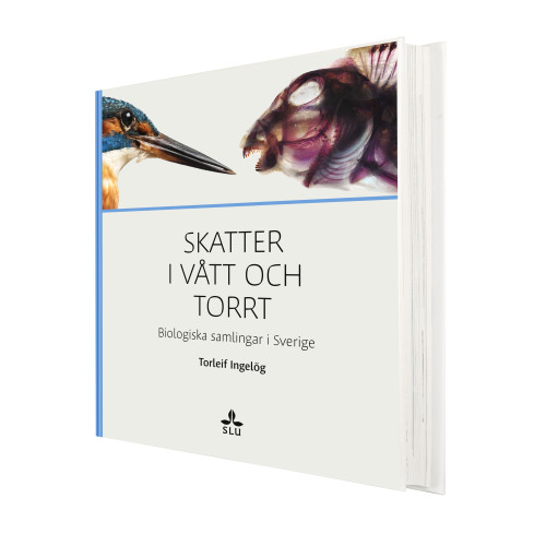 Torleif Ingelög Skatter i vått och torrt : biologiska samlingar i Sverige (inbunden)