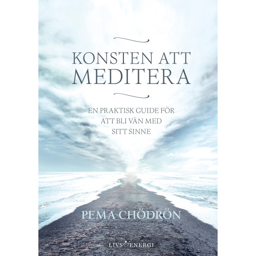 Pema Chodron Konsten att meditera : En praktisk guide för att bli vän med sitt sinne (bok, kartonnage)