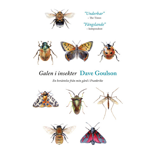 Dave Goulson Galen i insekter : En berättelse från min gård i Frankrike (pocket)