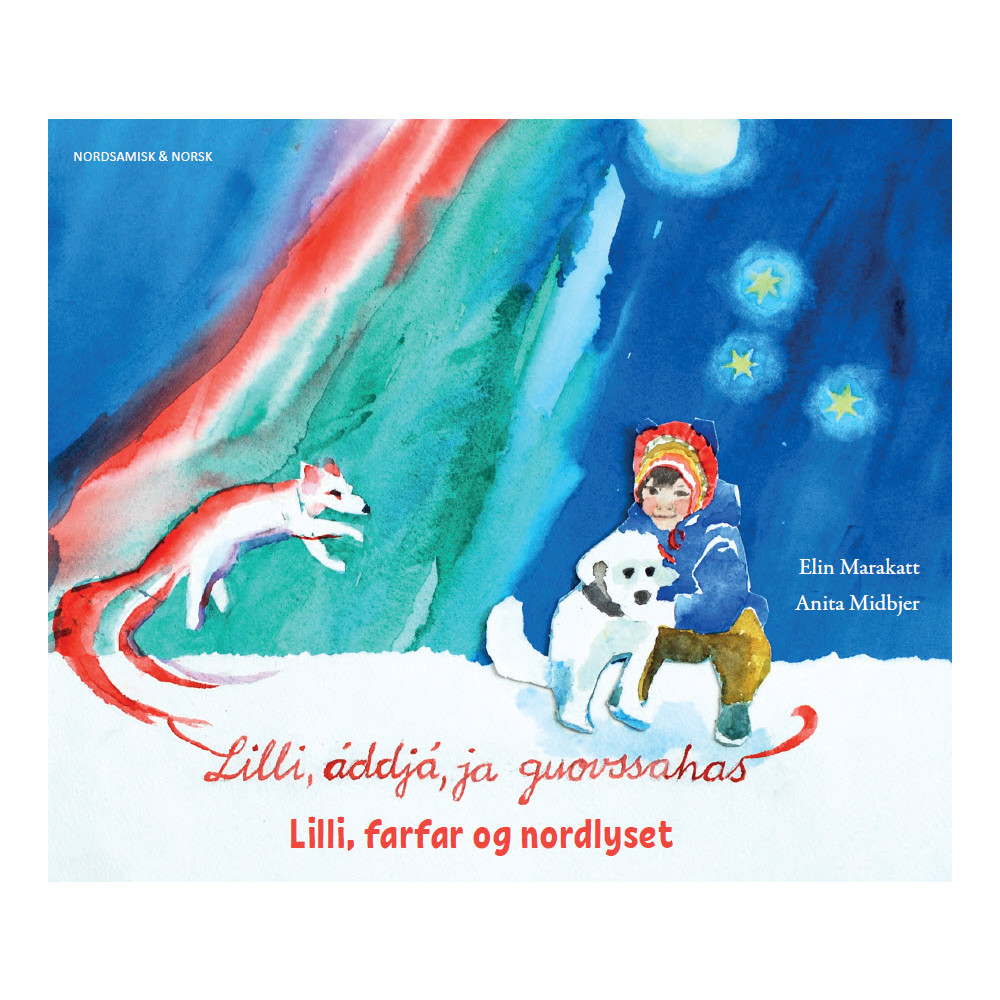 Produktbild för Lilli, farfar og nordlyset (nordsamiska & norska) (häftad, nor)
