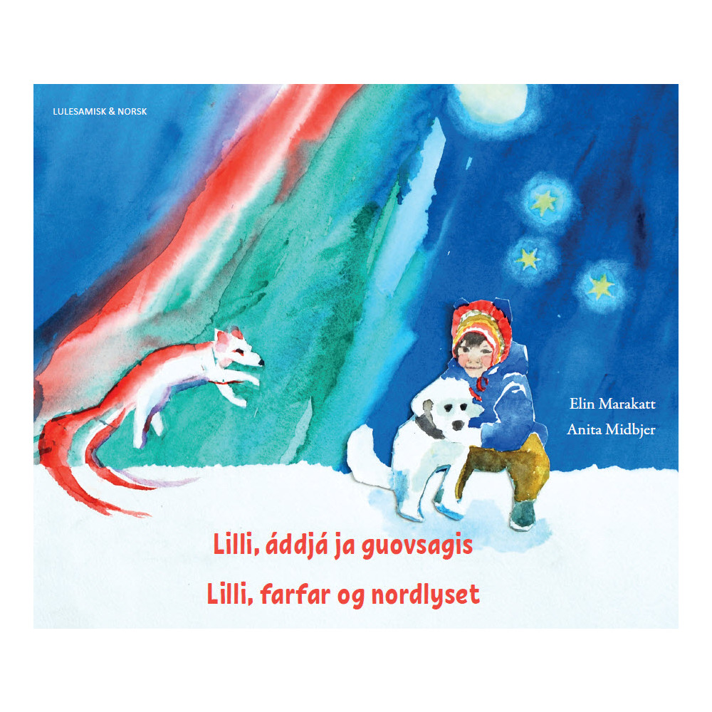 Produktbild för Lilli, farfar og nordlyset (lulesamiska & norska) (häftad, nor)