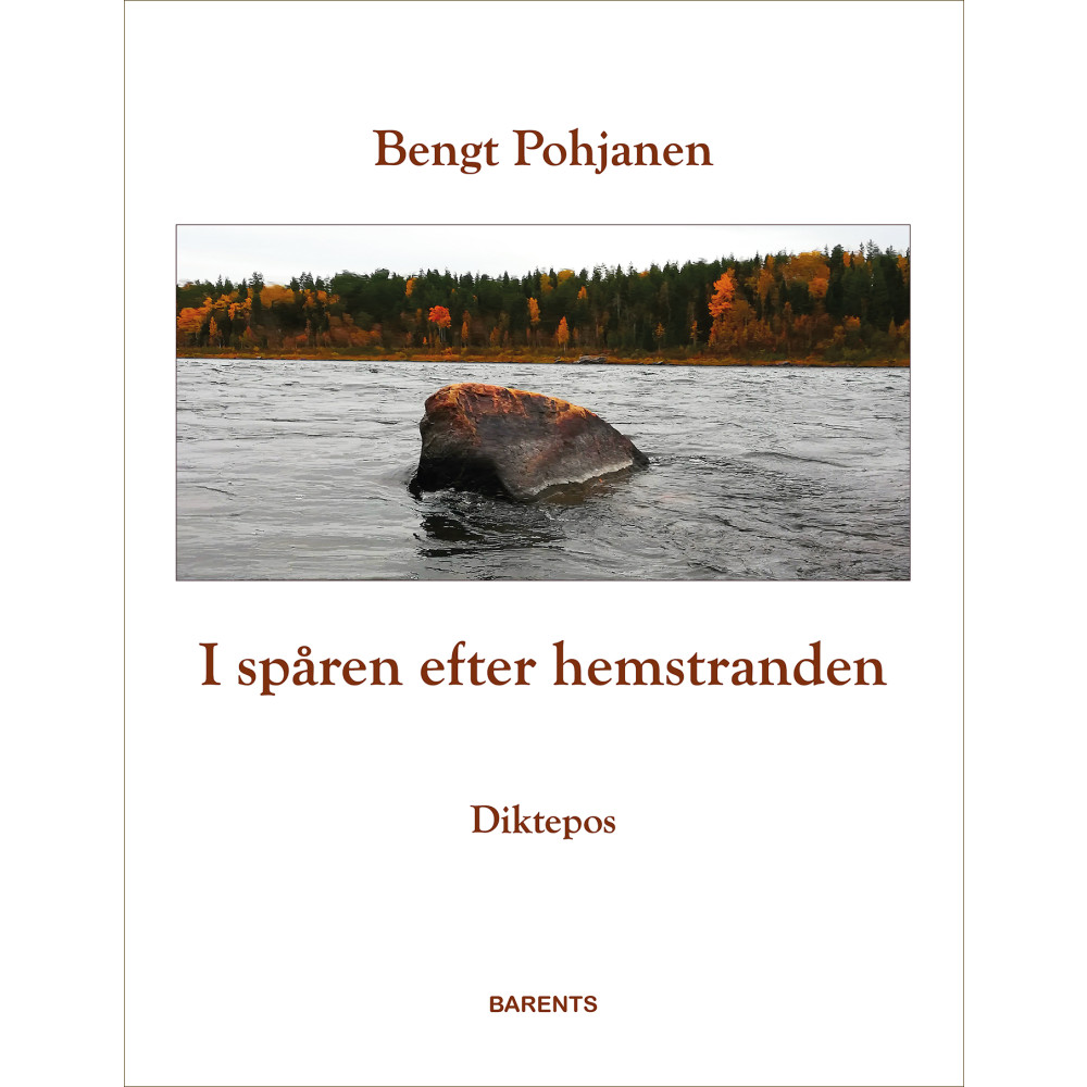 Produktbild för I spåren efter hemstranden (bok, danskt band)