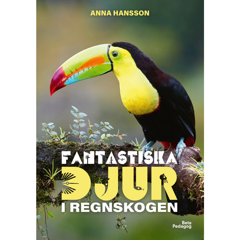 Produktbild för Fantastiska djur i regnskogen (inbunden)