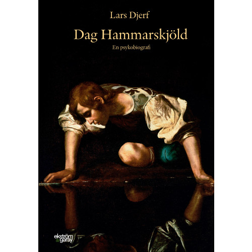 Lars Djerf Dag Hammarskjöld : en psykobiografi (bok, danskt band)