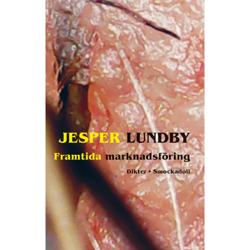 Jesper Lundby Framtida marknadsföring (bok, danskt band)