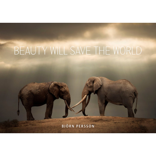 Björn Persson Beauty will save the world (inbunden, eng)