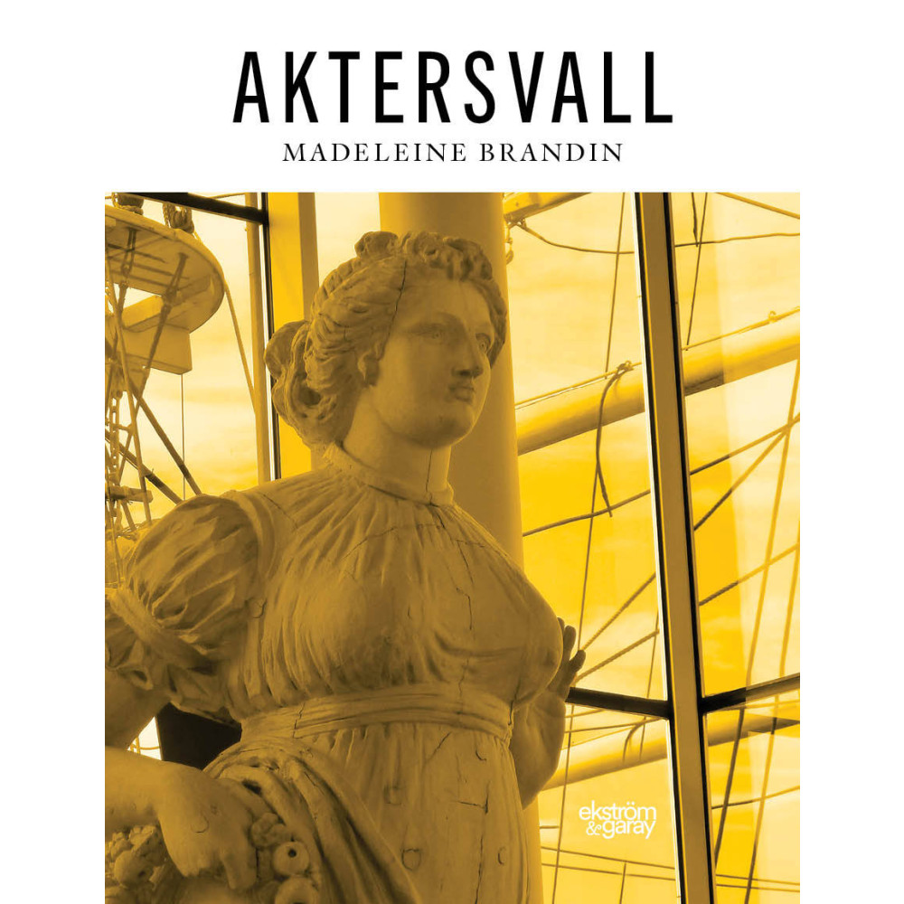 Produktbild för Aktersvall (inbunden)