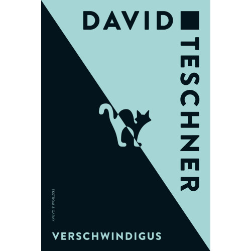 David Teschner Verschwindigus (bok, danskt band)