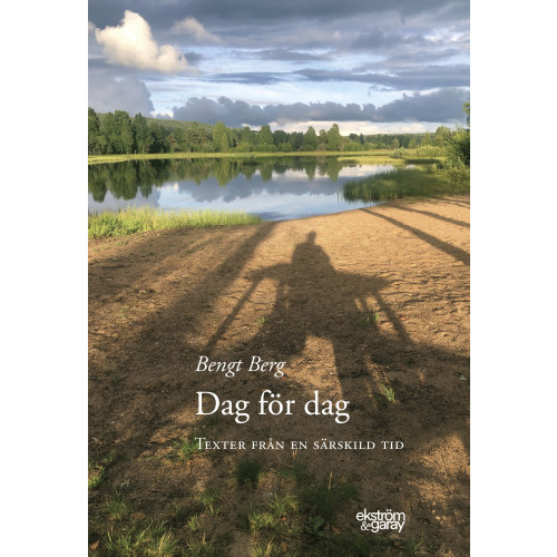 Bengt Berg Dag för dag : texter från en särskild tid (bok, danskt band)