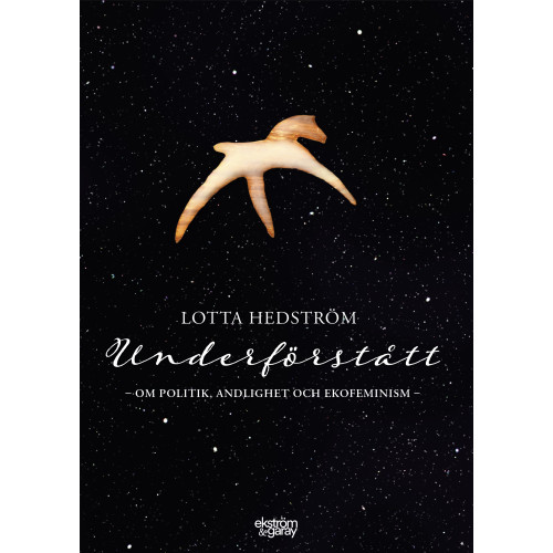 Lotta Hedström Underförstått : om politik, andlighet och ekofeminism (bok, danskt band)