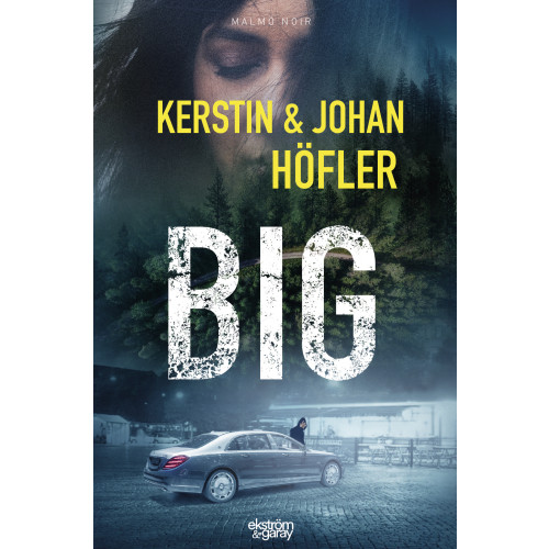 Kerstin Höfler Big (bok, danskt band)