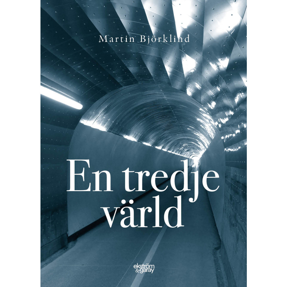 Produktbild för En tredje värld (bok, danskt band)
