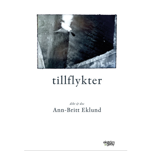 Ann-Britt Eklund Tillflykter (bok, danskt band)