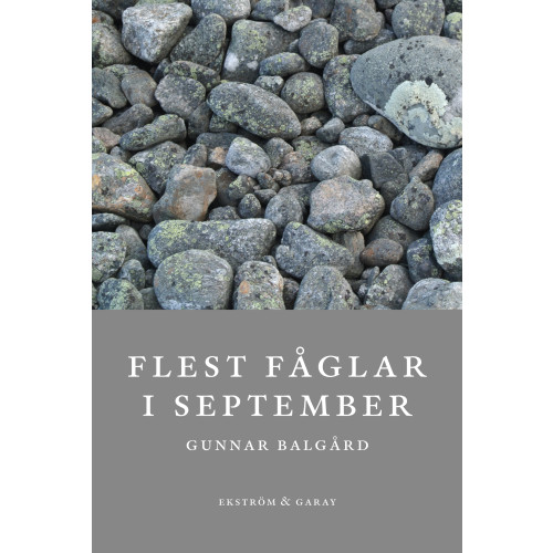 Gunnar Balgård Flest fåglar i september (bok, danskt band)