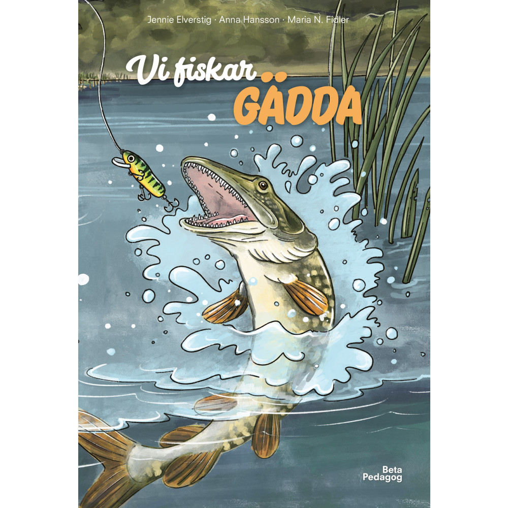 Produktbild för Vi fiskar gädda (inbunden)