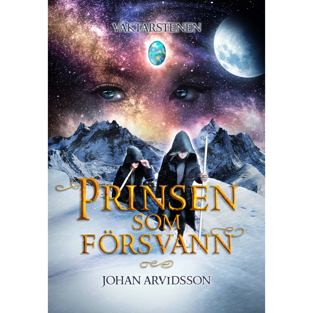 Produktbild för Prinsen som försvann (inbunden)