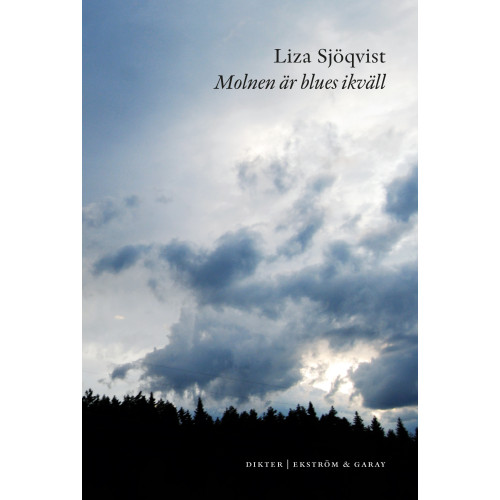 Liza Sjöqvist Molnen är blues ikväll (bok, danskt band)