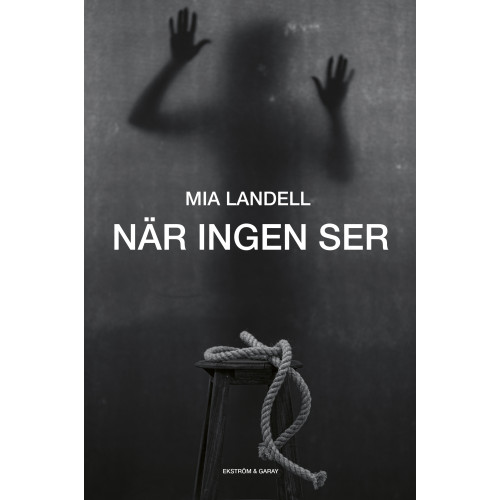 Mia Landell När ingen ser (inbunden)