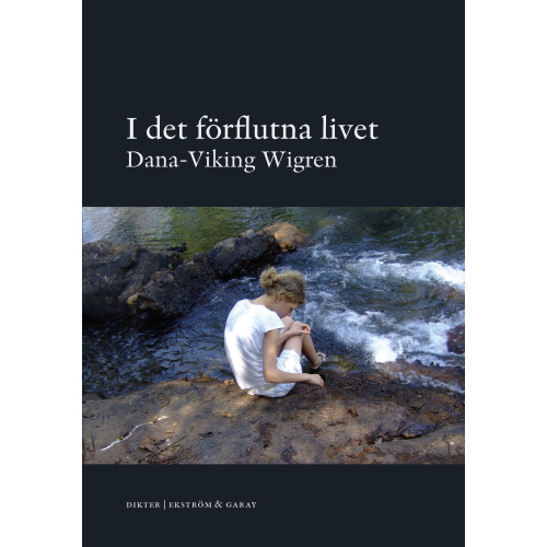 Dana-Wiking Wigren I det förflutna livet (bok, danskt band)