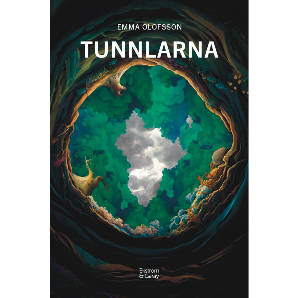 Produktbild för Tunnlarna (bok, danskt band)