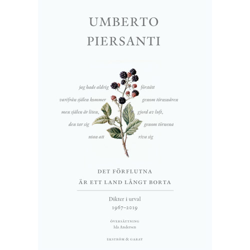 Umberto Piersanti Det förflutna är ett land långt borta : dikter i urval 1967-2019 (bok, danskt band)