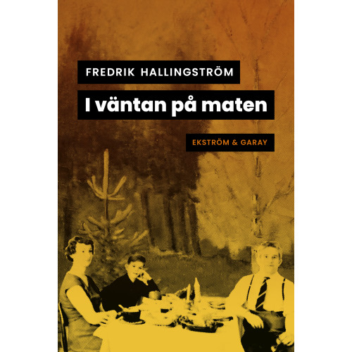 Fredrik Hallingström I väntan på maten (bok, danskt band)