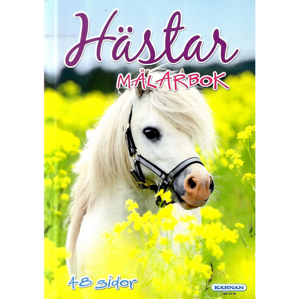 Produktbild för Hästar : Målarbok 12-pack (häftad)