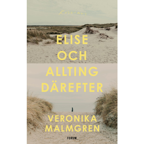 Veronika Malmgren Elise och allting därefter (inbunden)