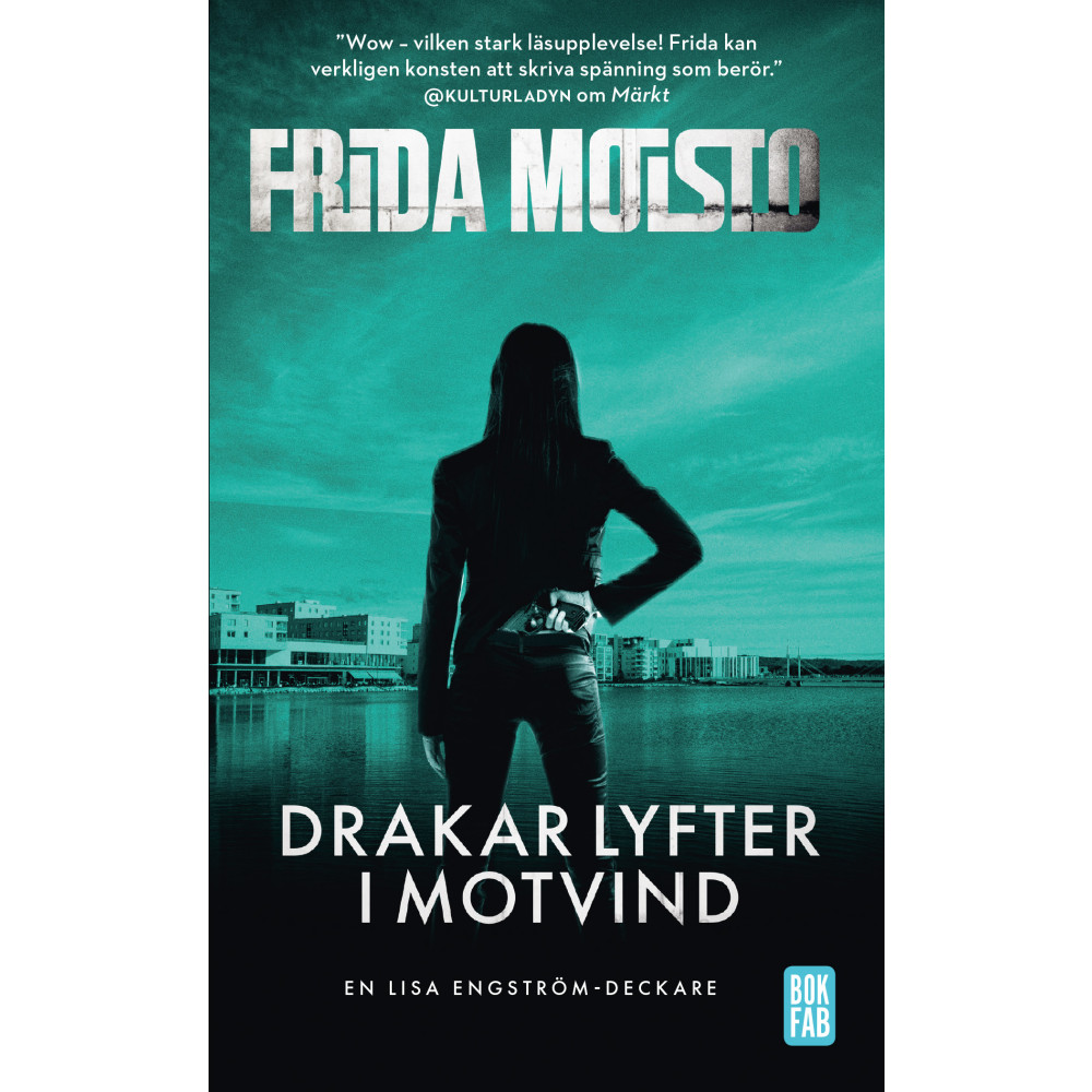 Produktbild för Drakar lyfter i motvind (pocket)