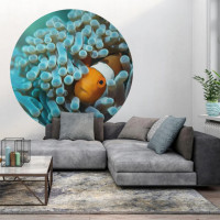 Miniatyr av produktbild för WallArt Tapet cirkelformad Nemo the Anemonefish 142,5 cm