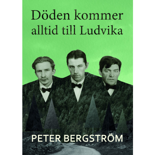 Peter Bergström Döden kommer alltid till Ludvika (inbunden)