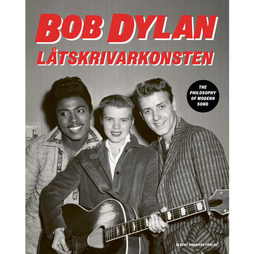 Bob Dylan Låtskrivarkonsten (inbunden)