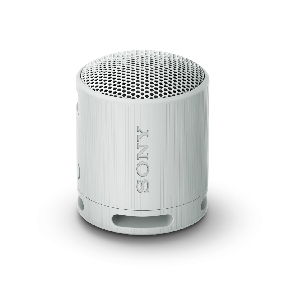 Produktbild för Sony SRS-XB100 Bärbar monohögtalare Grå
